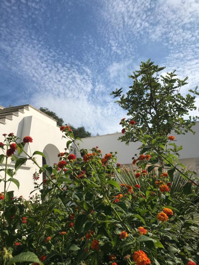 Il Quieto Uliveto Villa Ostuni Exteriör bild