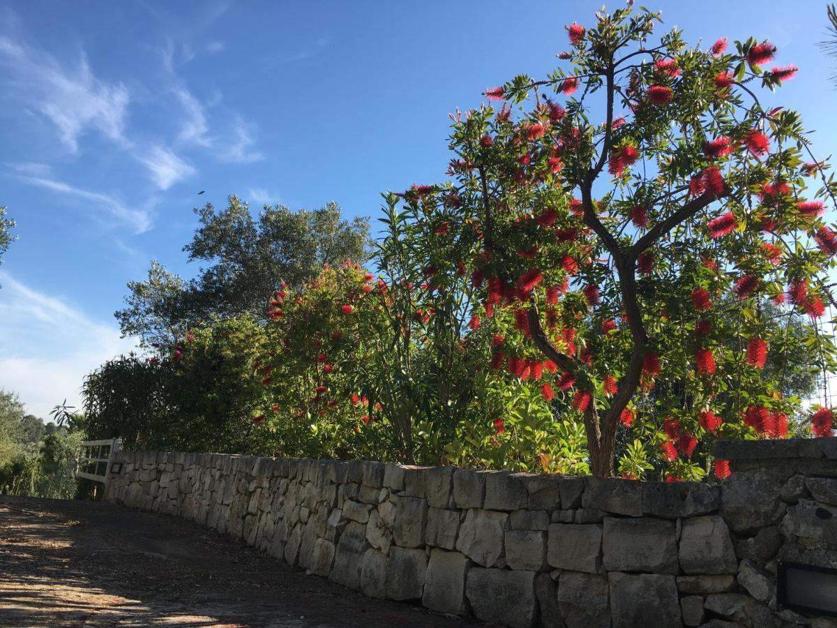 Il Quieto Uliveto Villa Ostuni Exteriör bild