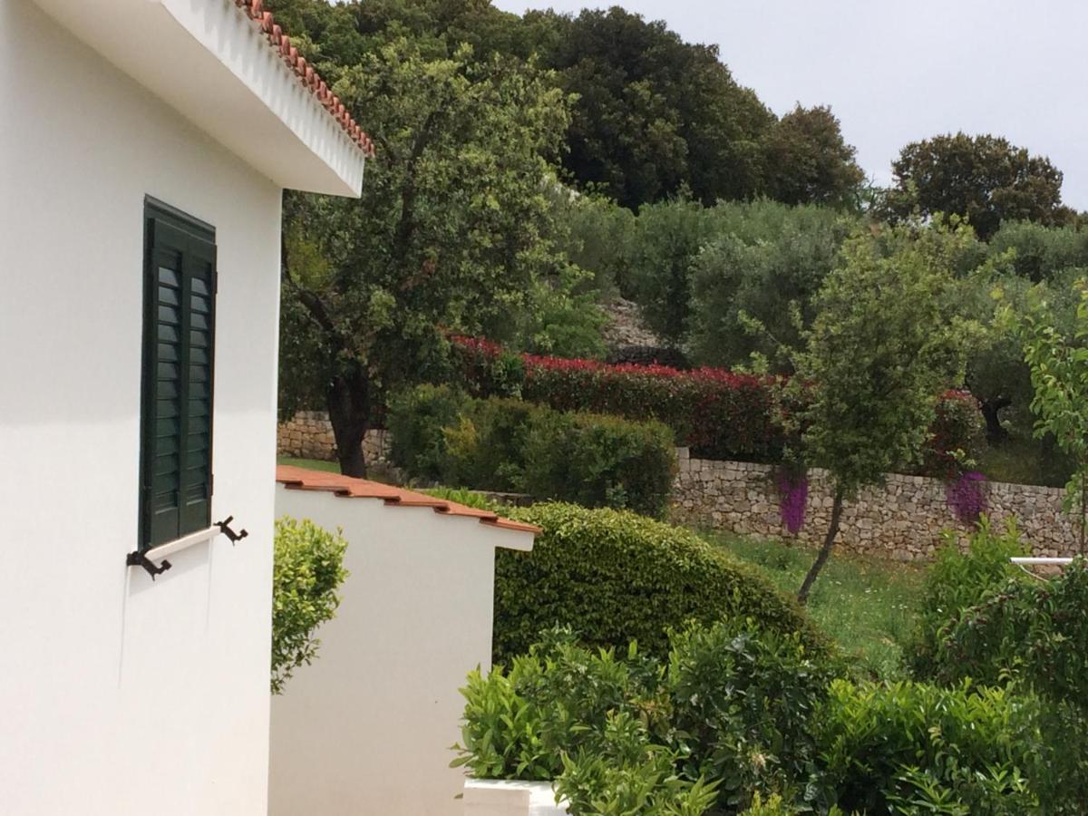 Il Quieto Uliveto Villa Ostuni Exteriör bild