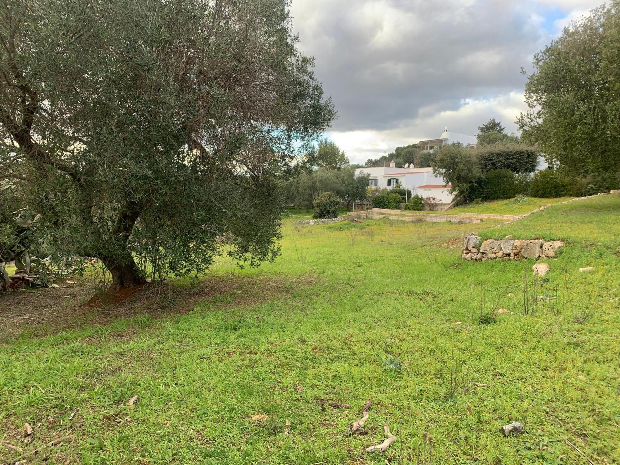 Il Quieto Uliveto Villa Ostuni Exteriör bild